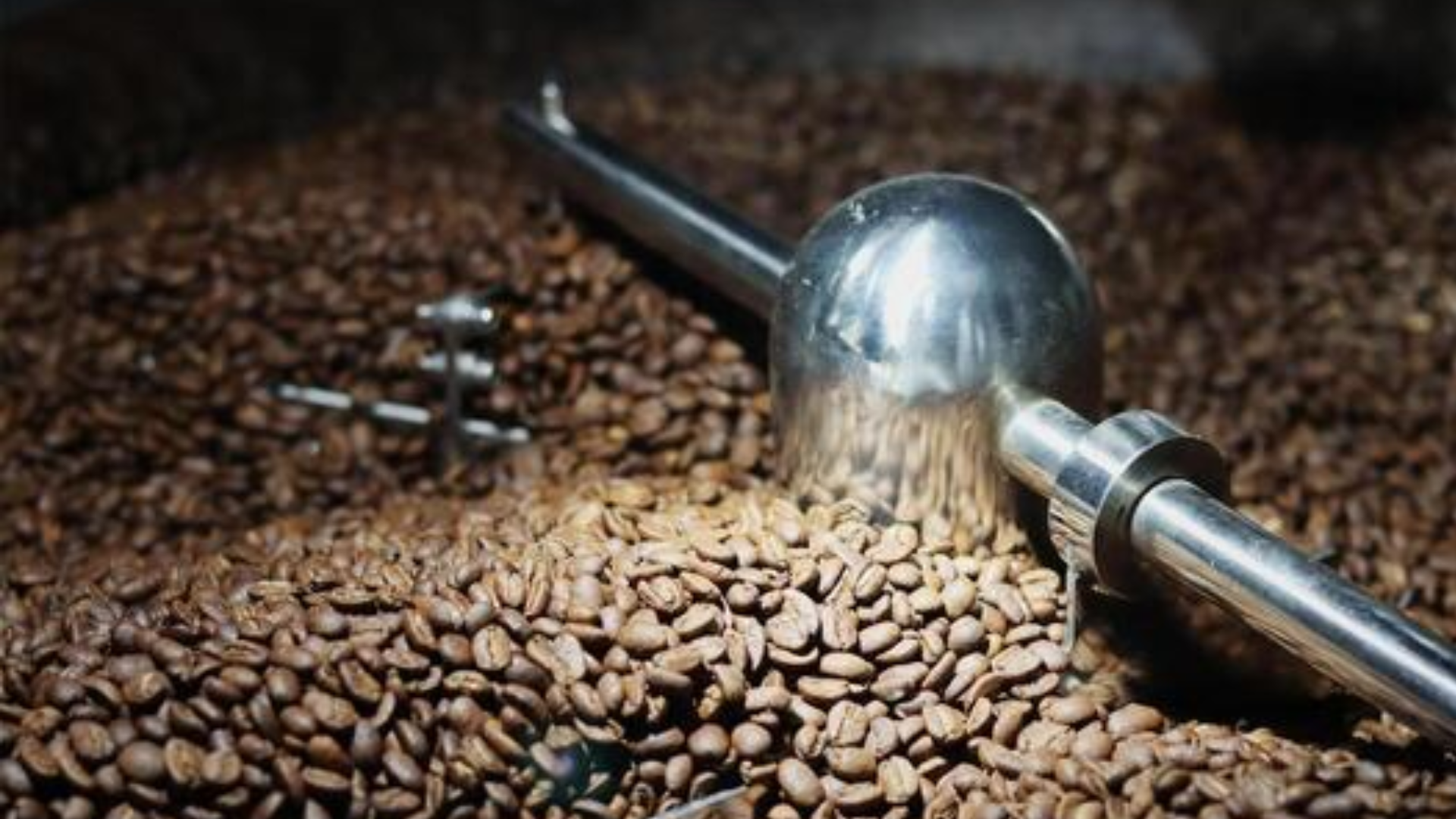 Exploring the Boom in the Ready to Drink Coffee Industry