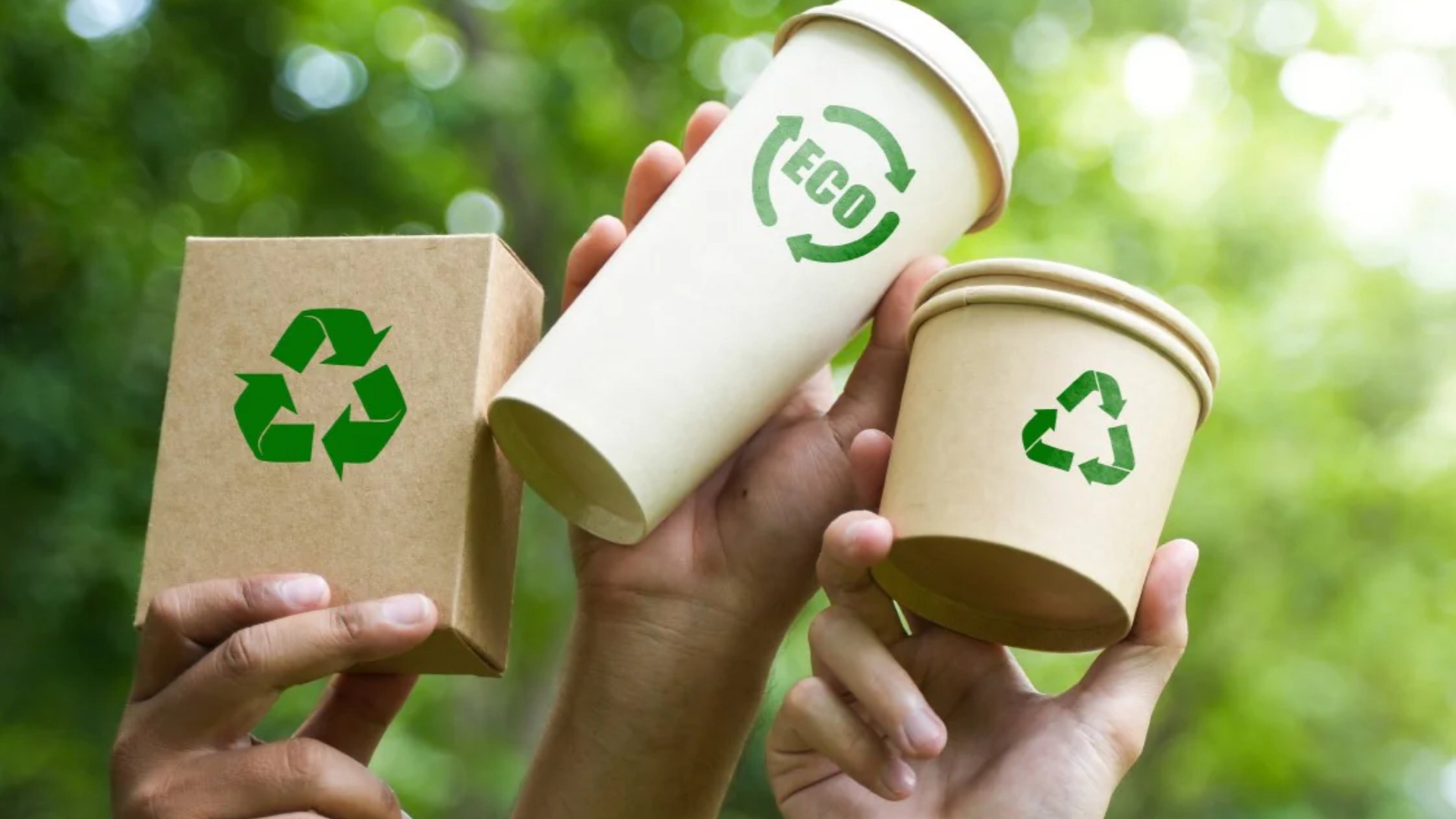 Sustainable Packaging Solutions Shaping the Future of Beverages